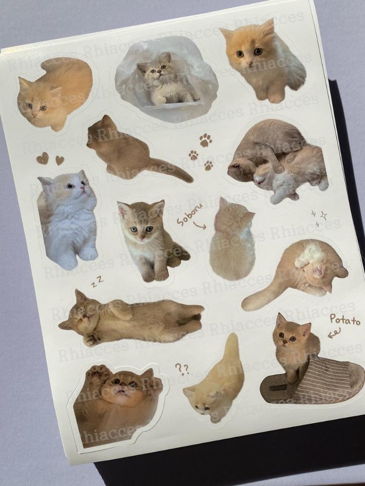 [Made] poboru sticker