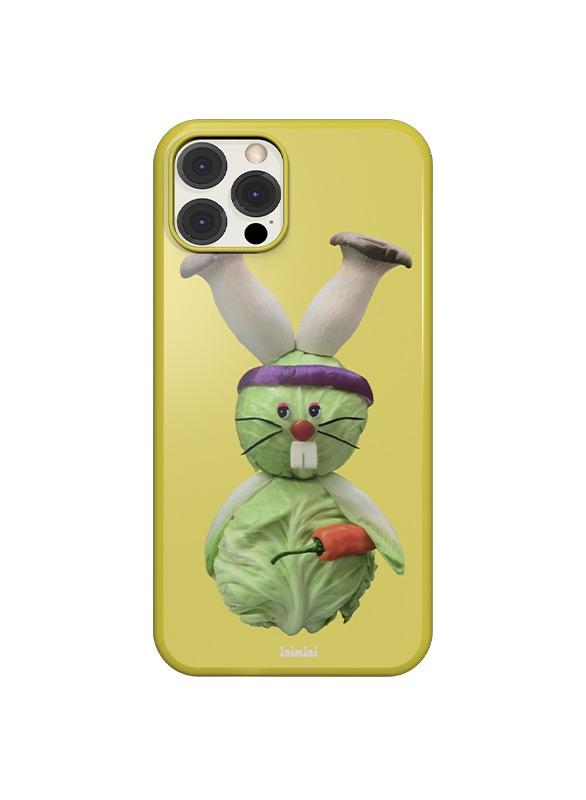 rabbit case