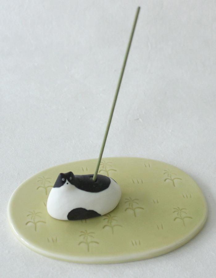 bright room) 오후의 빛