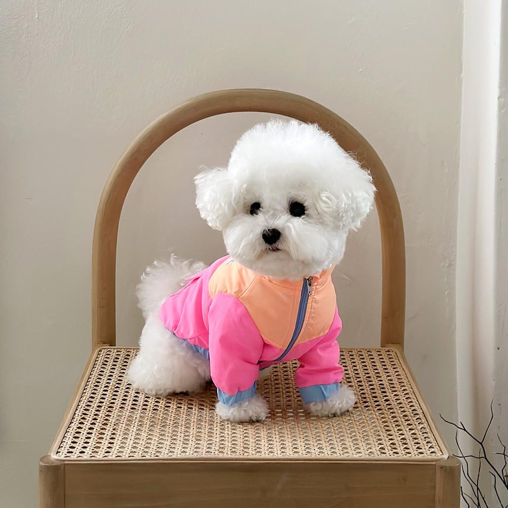 [리틀콜린] 23 S/S 버그가드 윈드브레이커 강아지 바람막이 진드기방지 점퍼