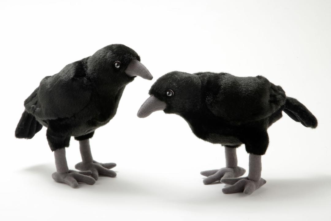 カラスのぬいぐるみ