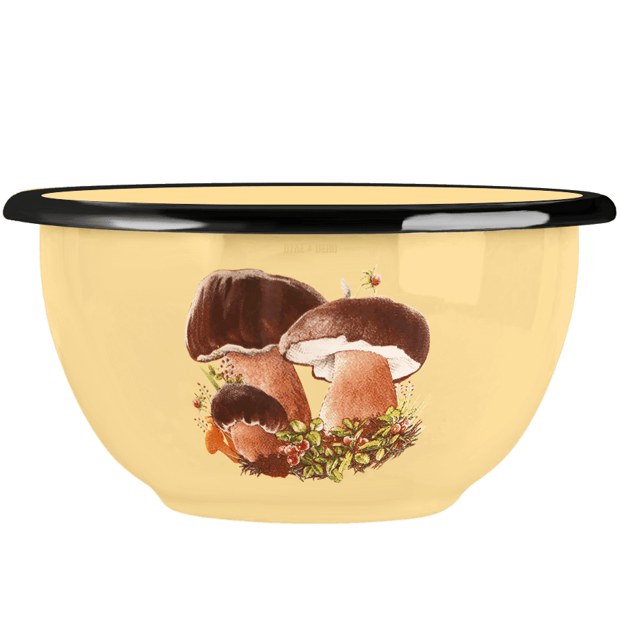 ENAMEL MUSHROOM BOWL