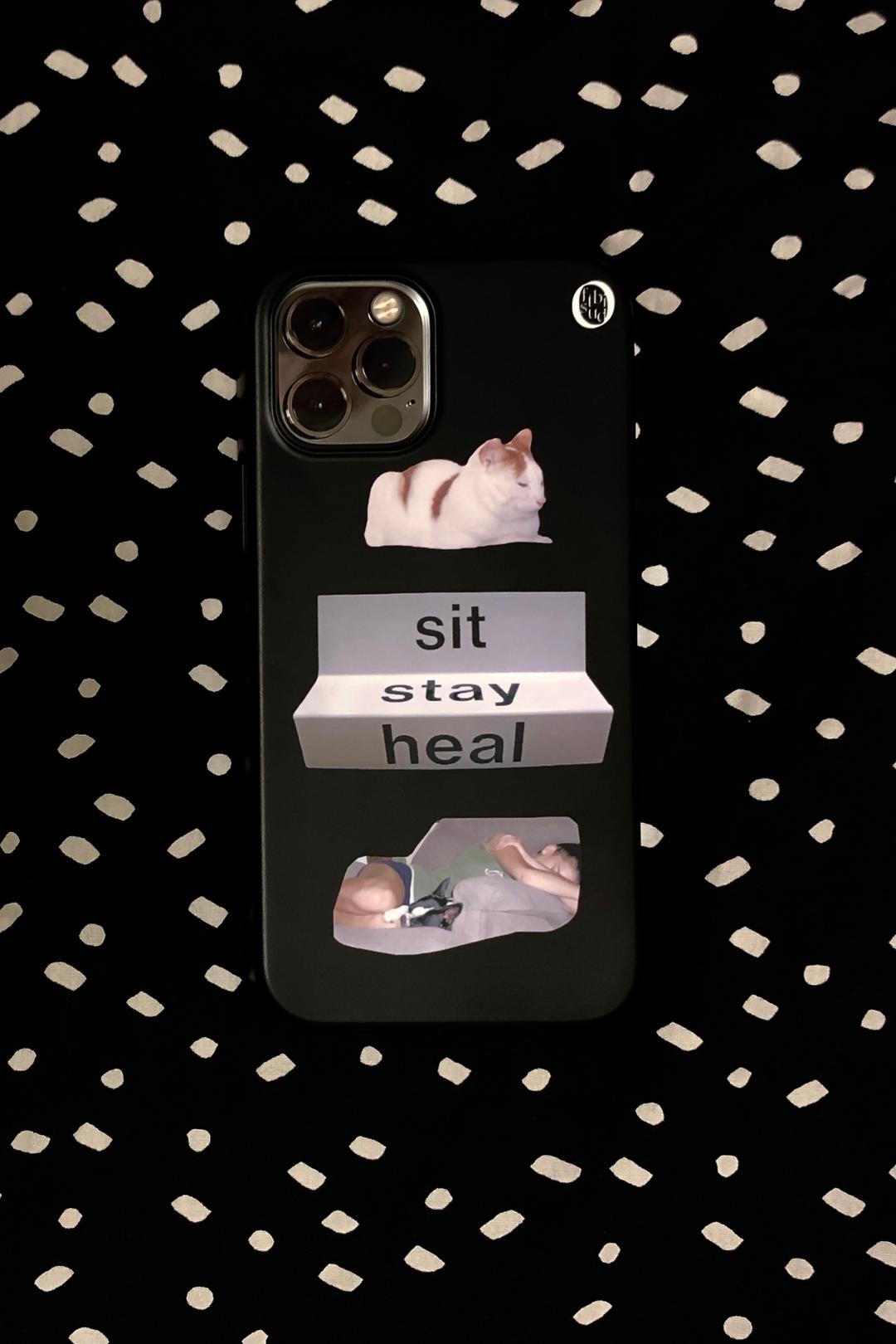 s.s.h ( sit , stay , heal )