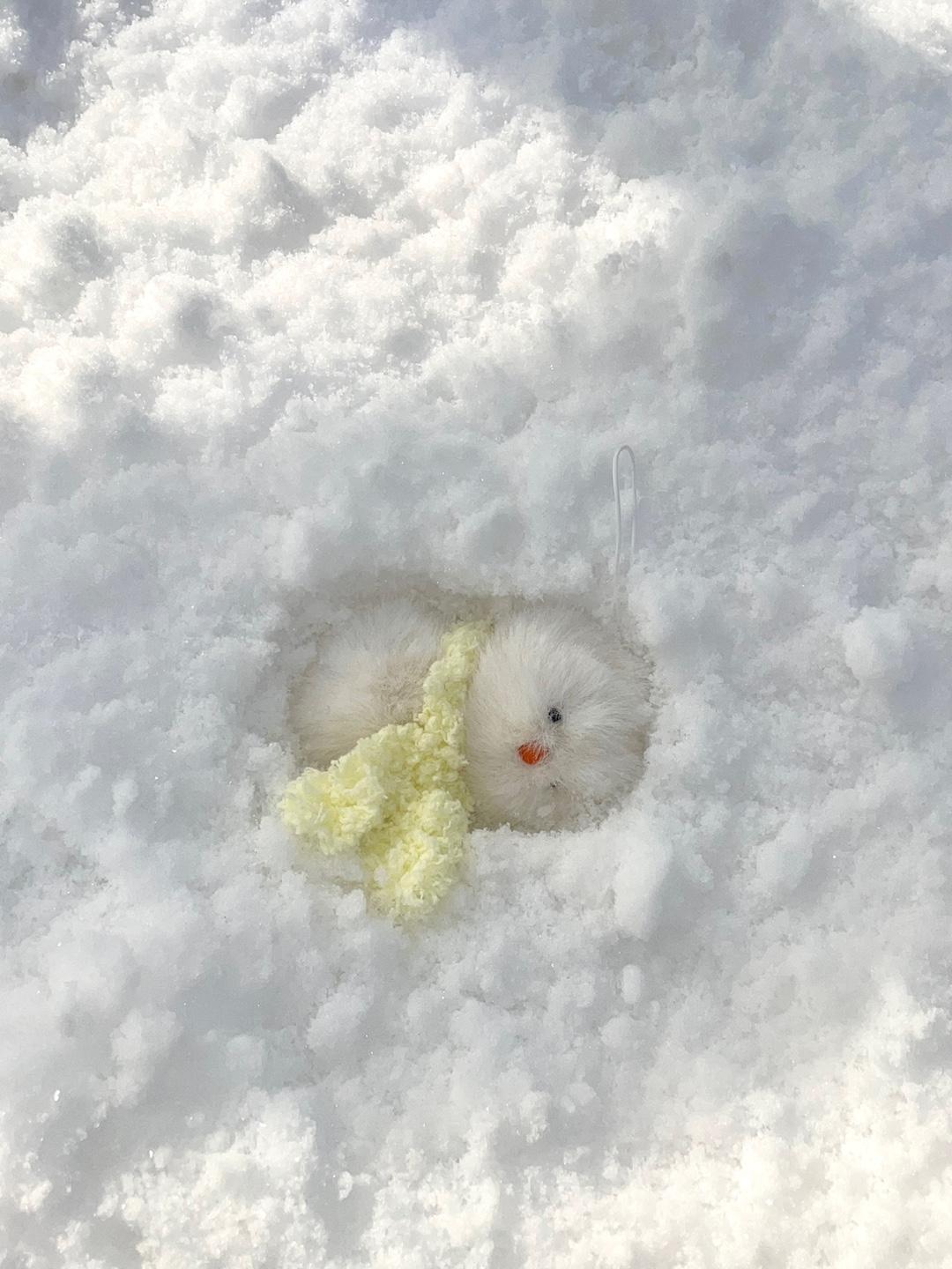 (OPEN)내추럴 댕댕이 아기눈사람 키링