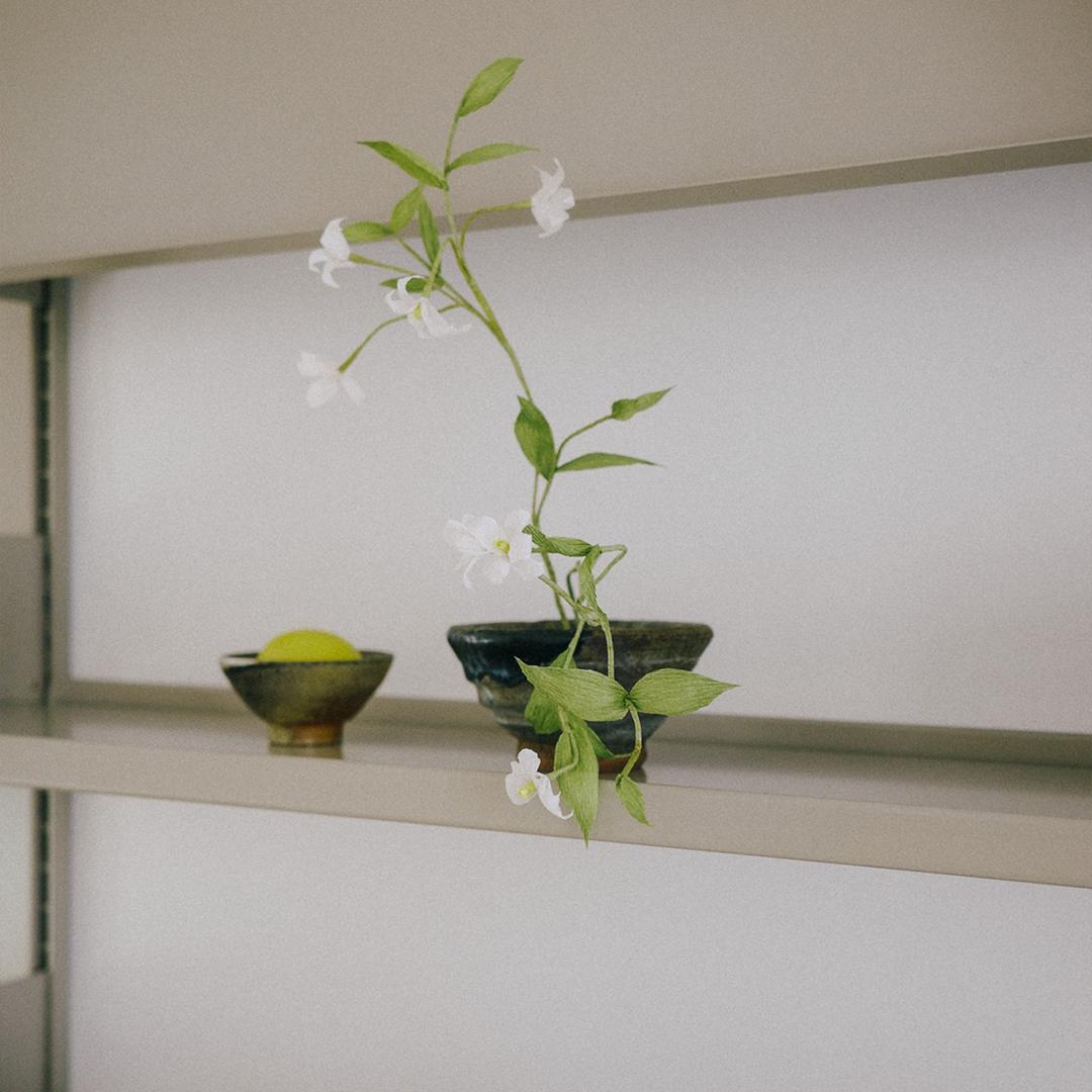 [Harvest Gift] 페이퍼 블룸 - 백화등