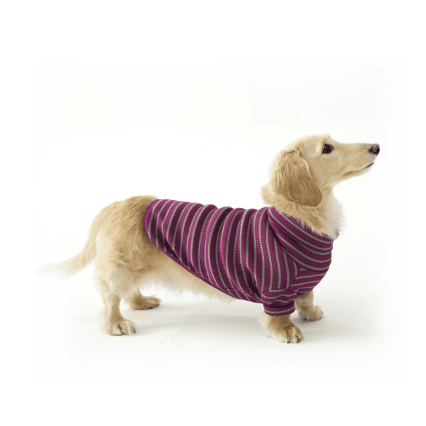 goinghome turtleneck [warmnight]