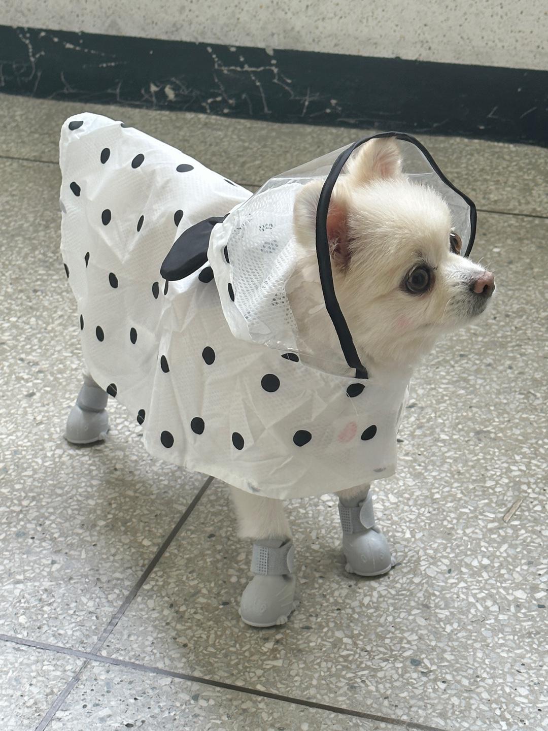 땡땡이판초우비 S-2XL / 강아지우비 뽀넬 여름 장마 산책 실외배변 판초우비 비옷