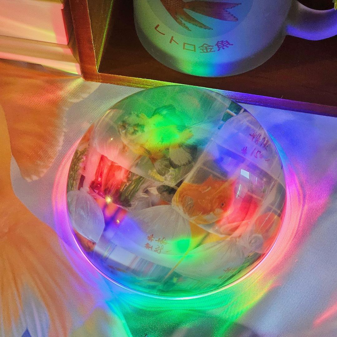 몽환 금붕어 어항 문진 led 세트