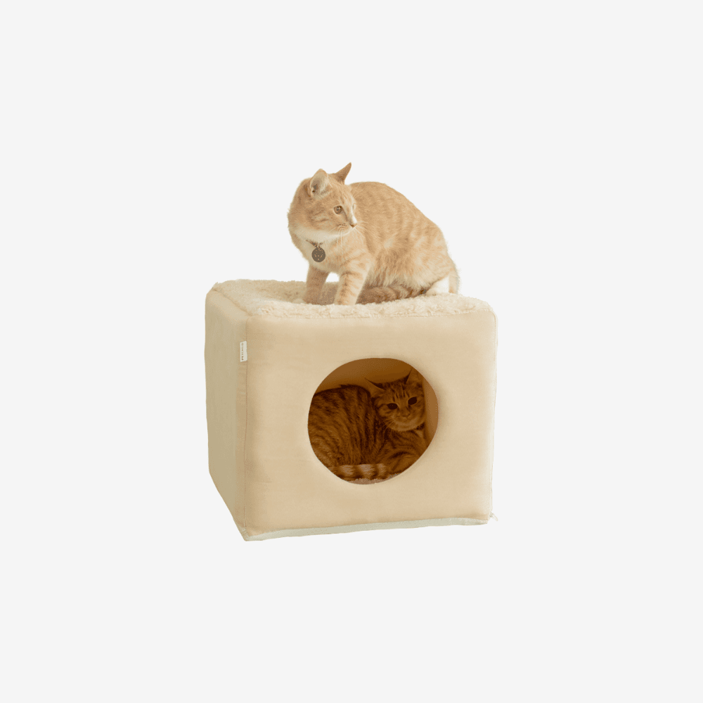 펫차일드 풀하우스 숨숨집