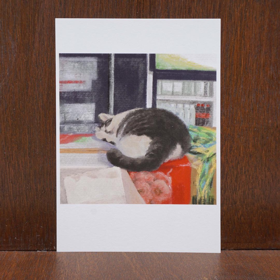 동그란 잠 엽서