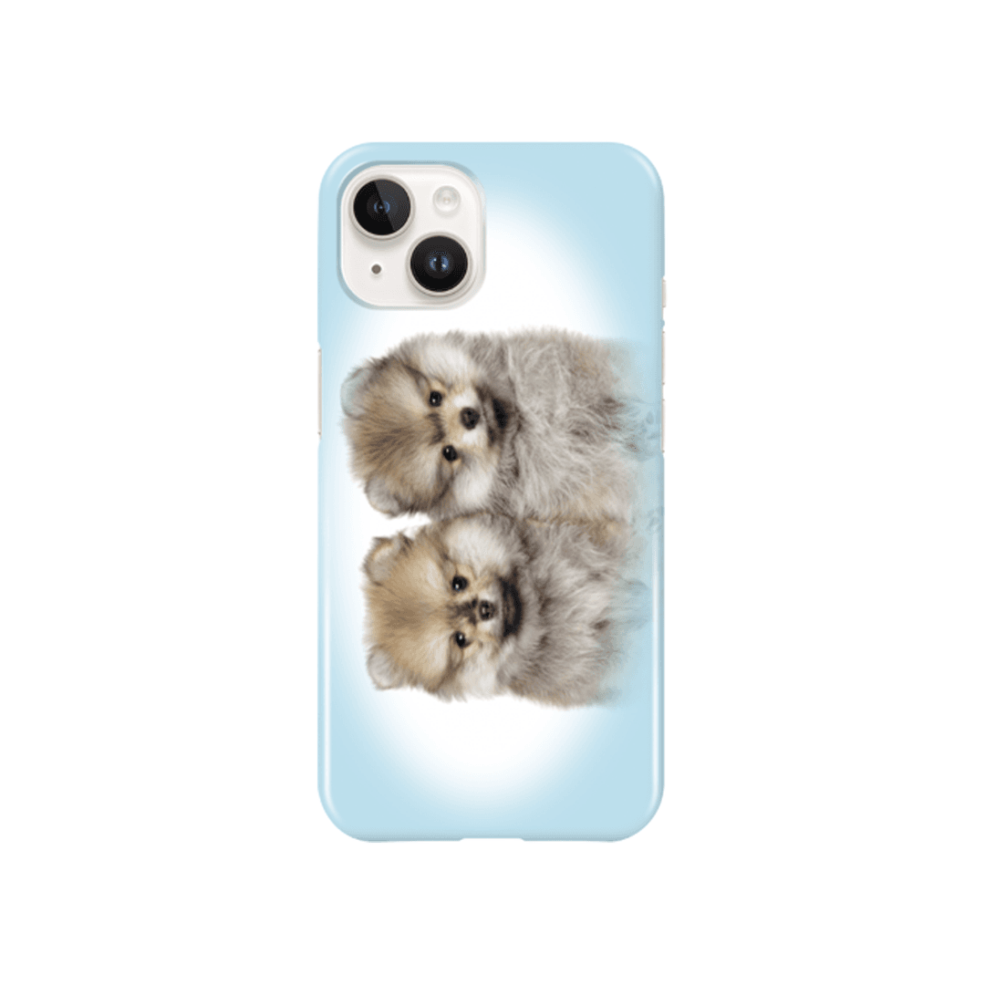 Twin bbo phone case