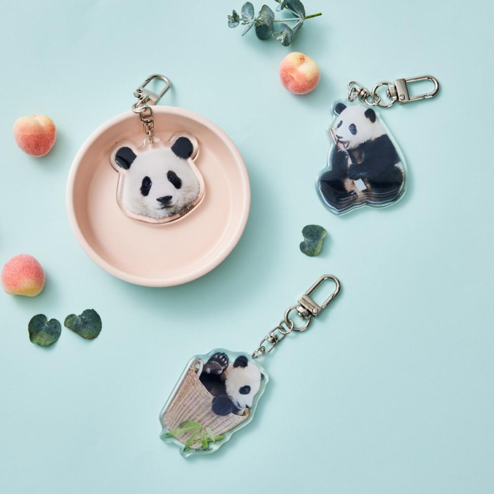 에버랜드 푸바오 아크릴 키링 3종