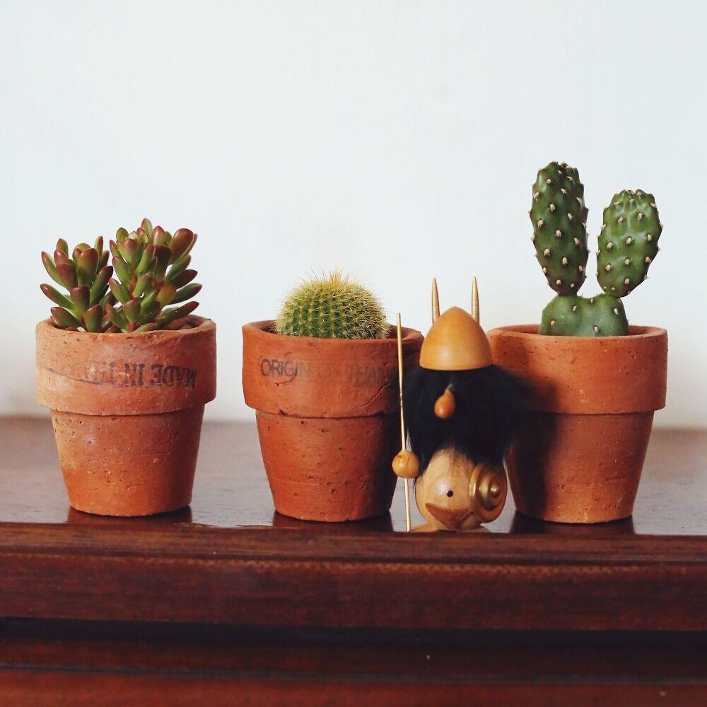빈티지 텍스쳐 토분에 심은 다육식물 미니화분