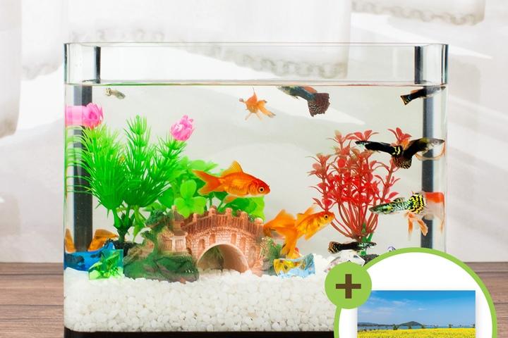 미니어항세트(중) 다리장식 유리어항 구피 수족관세트