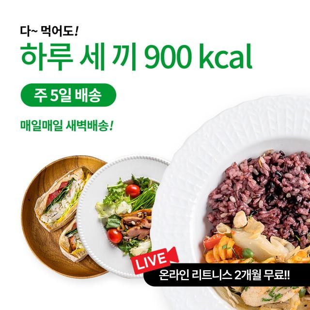 하루 약 900Kcal 프로그램