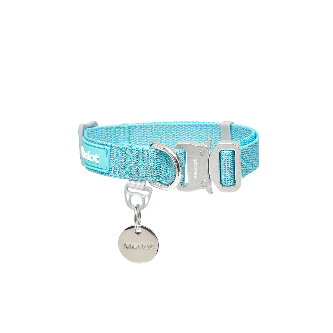 Holy™ Collar Mint