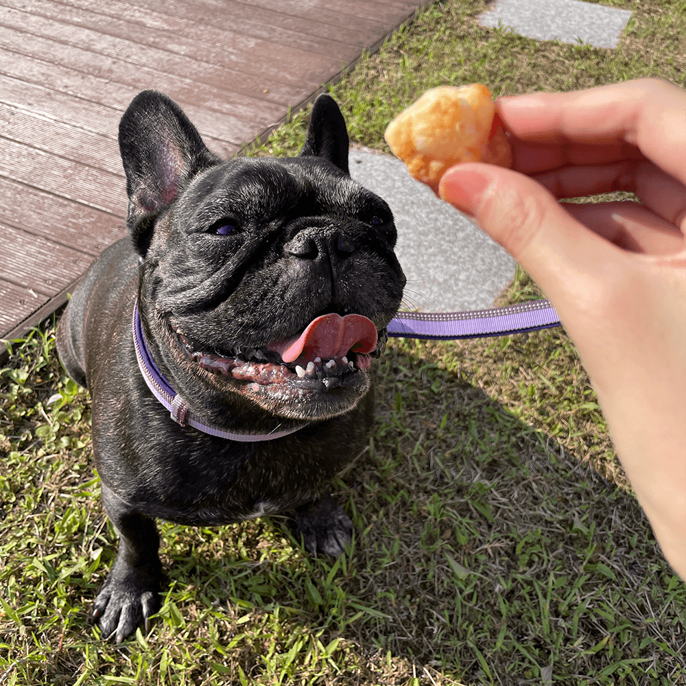 애드츄 | Add chew · 팝콘츄 대용량