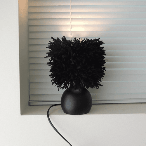 black feather light