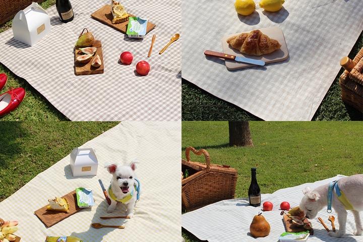 감성 코튼 체크 단면 방수 피크닉 매트 여행 야외 돗자리 3size