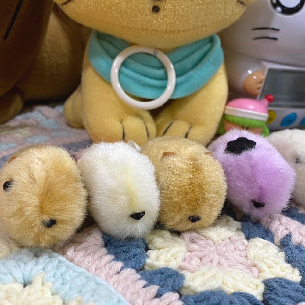 [중고] 카피바라상 미니 인형