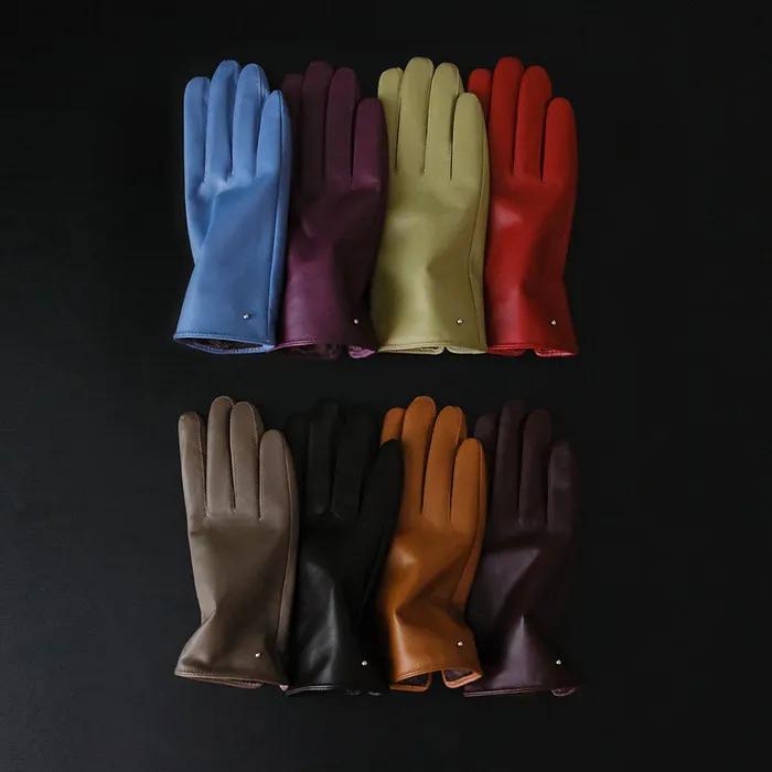 [선물포장] Signature ball gloves_8color