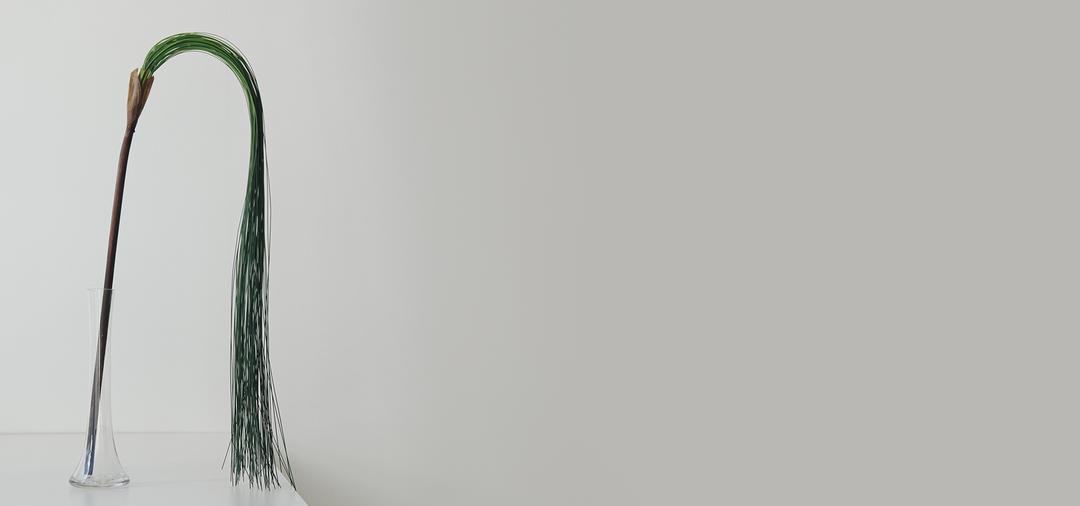 행잉 버드나무 줄기조화