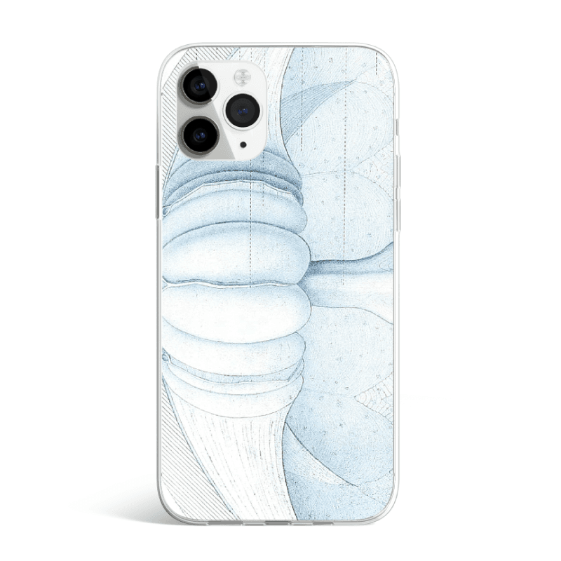 Pavia Case