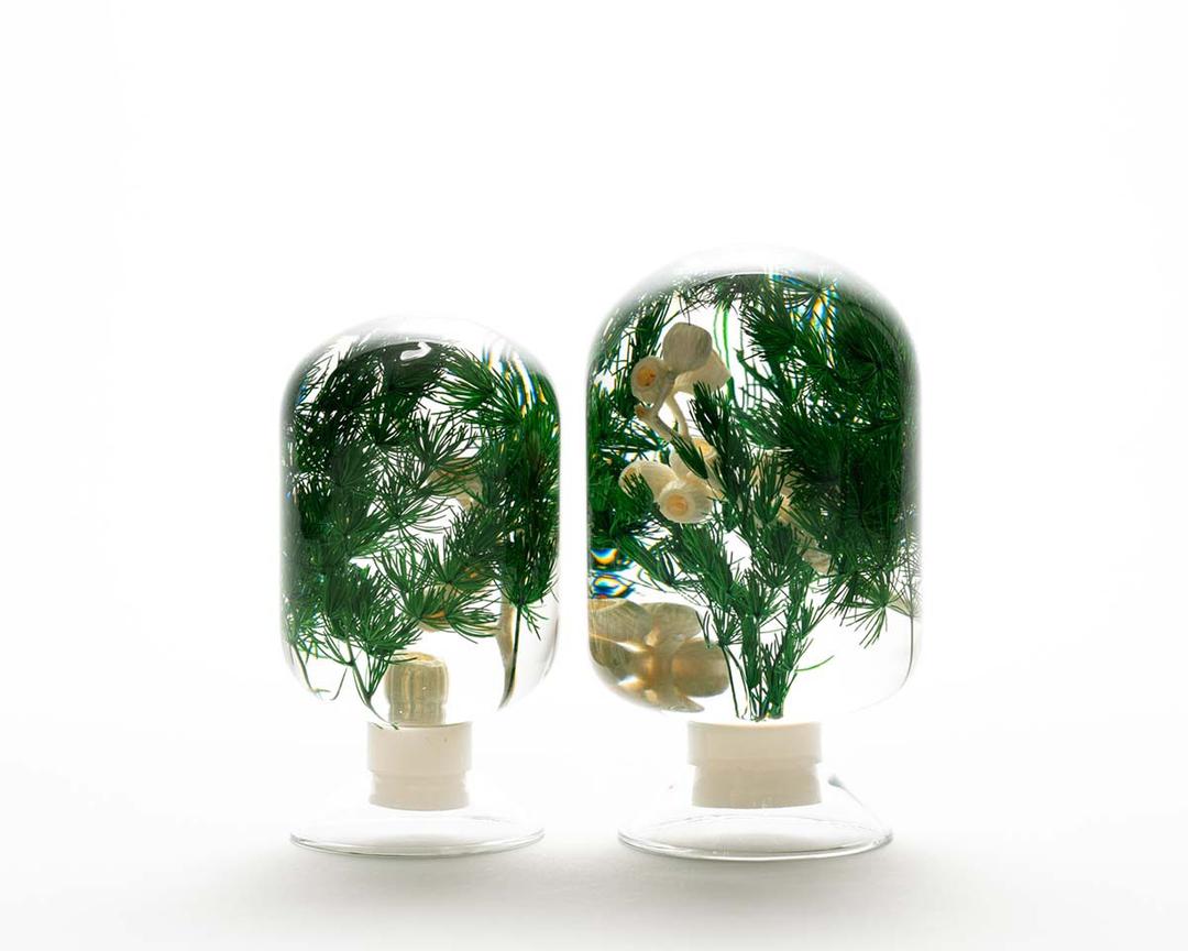 피스오브타임 - 소나무 숲