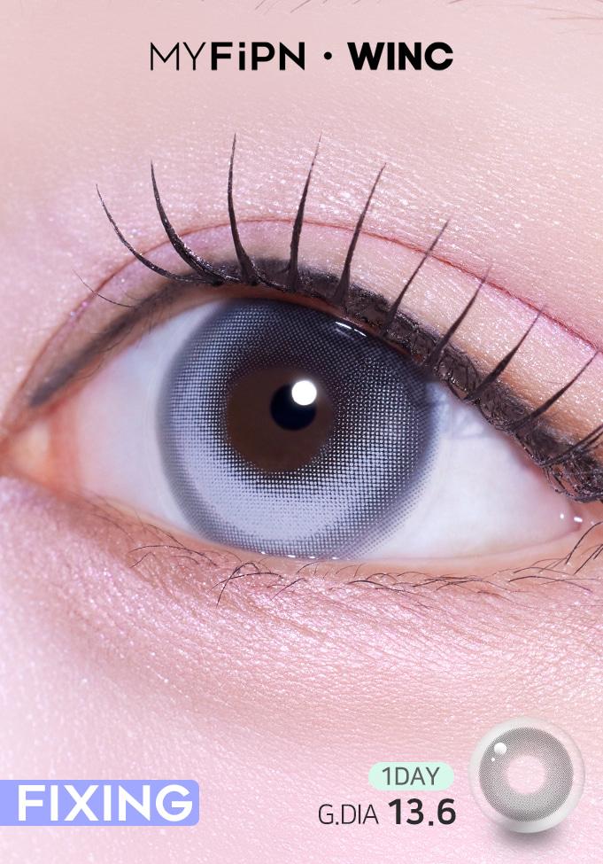 픽싱 • 라븐 - 애쉬 13.6 [원데이/10PCS]