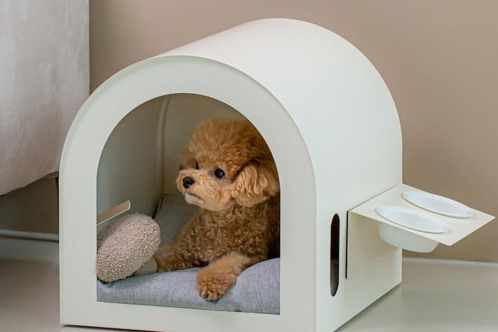 쿠폰가 132050원 바닐라 펫 하우스 강아지집 고양이 숨숨집 쿠션포함