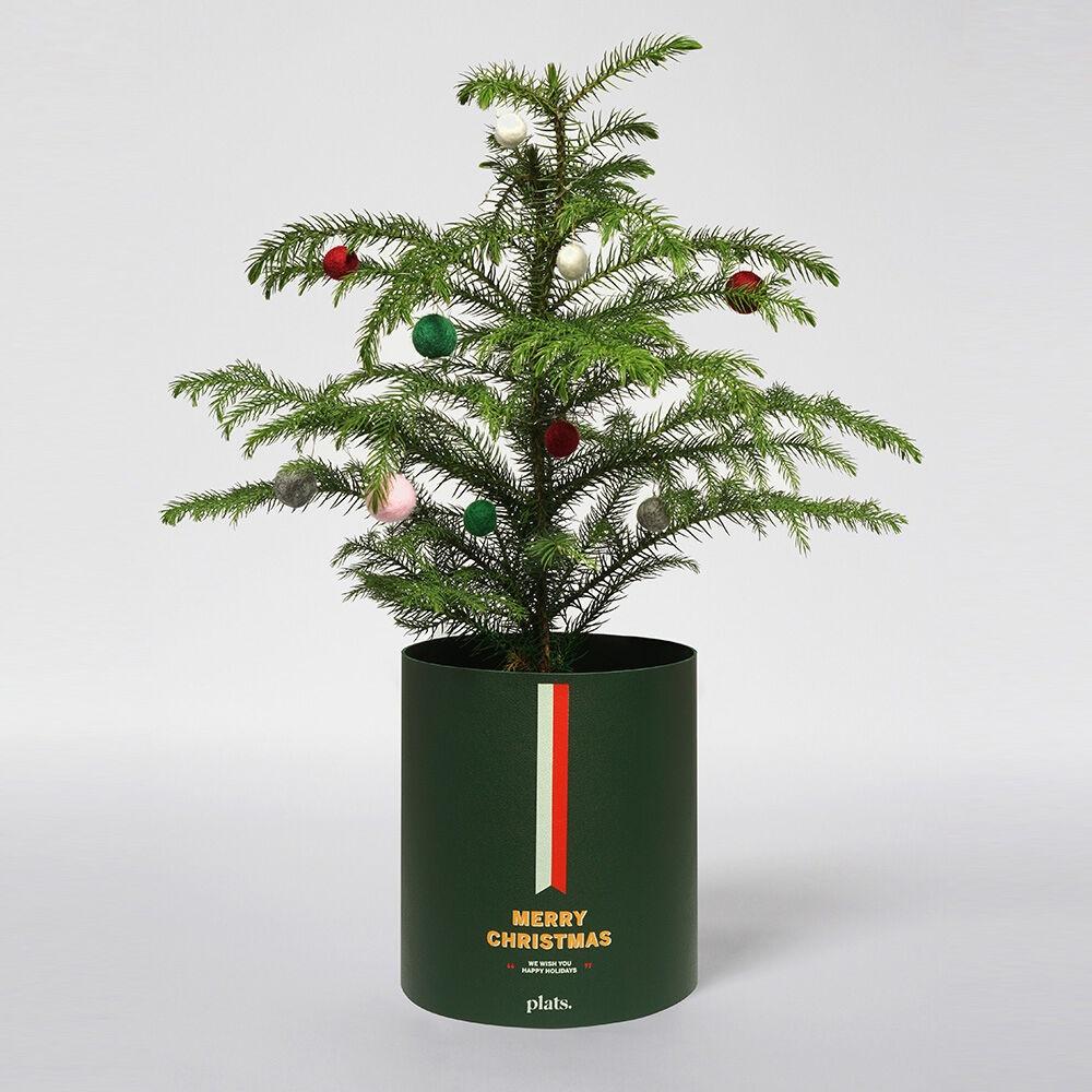 크리스마스 에디션 팟커버 레더_S SET