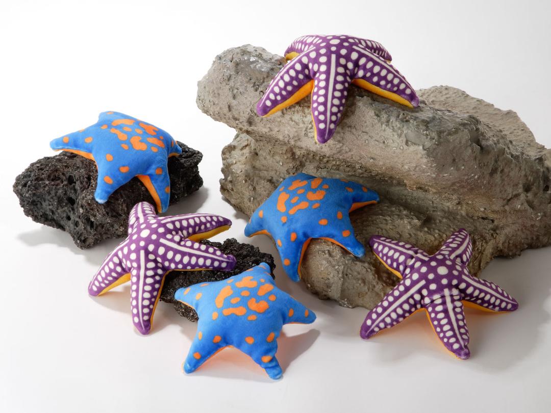 ヒトデのぬいぐるみ