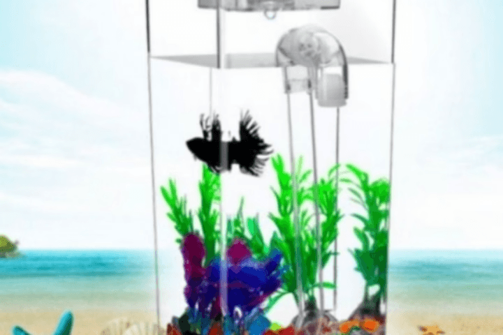 LED포함 자동청소 미니 어항 세트 (사각형)