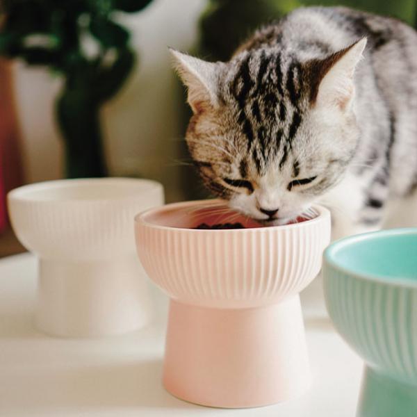 반려동물 클래식 세라믹식기