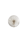 Dandelion Paper Weight