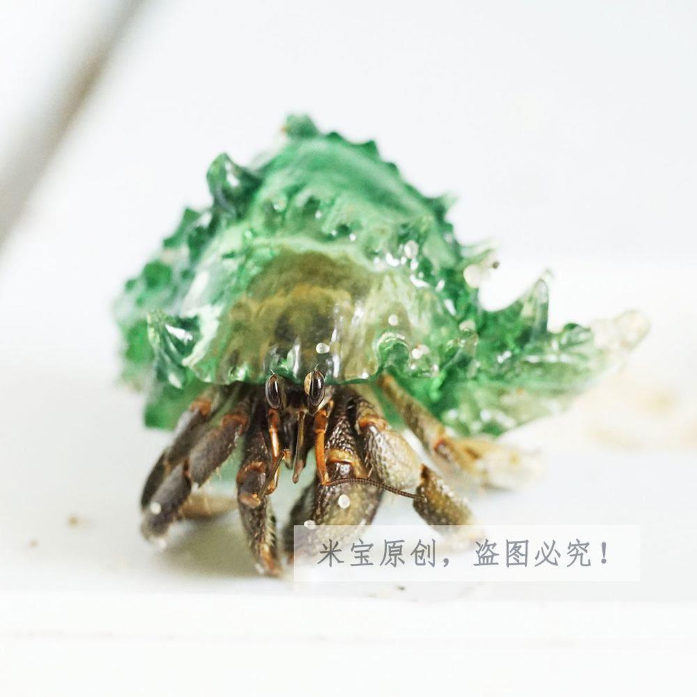 투명 쉘 소라게 하우스 껍데기 게집 은신처 탈피 껍질