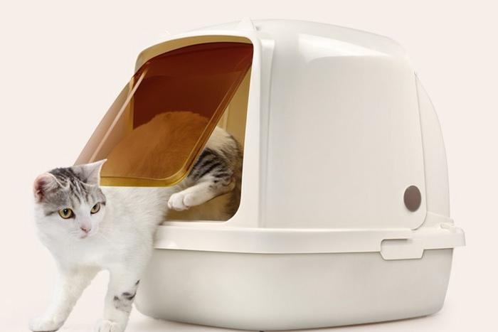 캣이어 대형 고양이 지붕화장실 2size