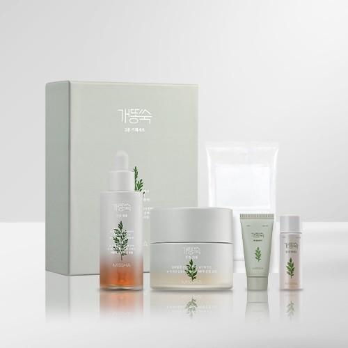 개똥쑥 2종 기획세트