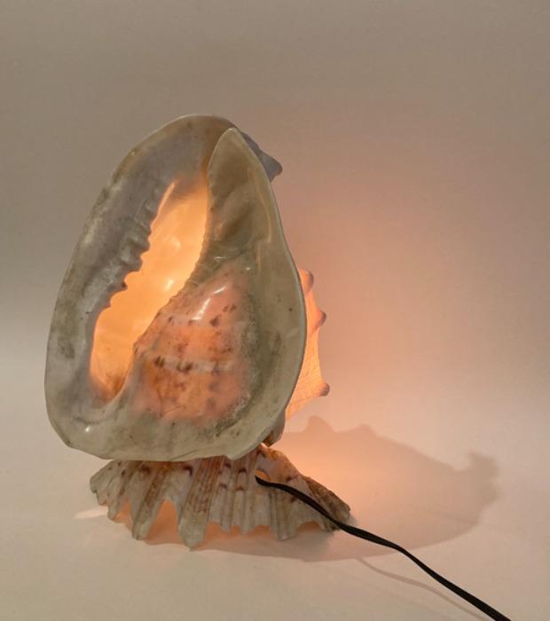 [U.S.A]80s original big size shell(소라) table lamp.