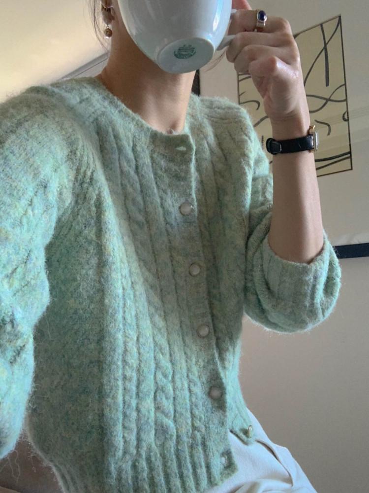 파스텔 보카시 꽈배기 가디건(3color)