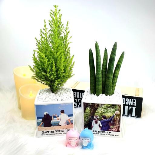 기념사진 매장로고 메세지 화분📷 단 하나의 선물🎁