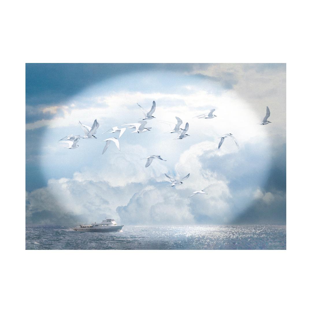 Telescope Poster A2 Size