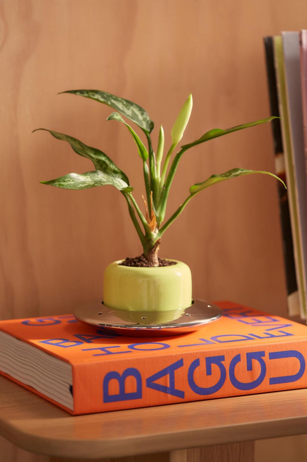 UFO Planter