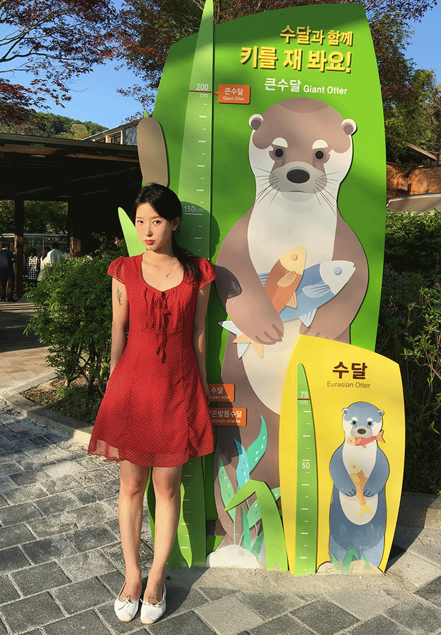 포네트 하트 쉬폰 반팔 여름 원피스 2color