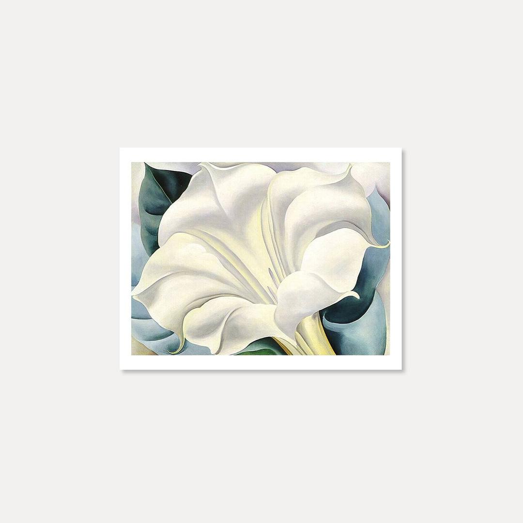 [조지아 오키프] White Trumpet Flower 28 x 35.5 cm