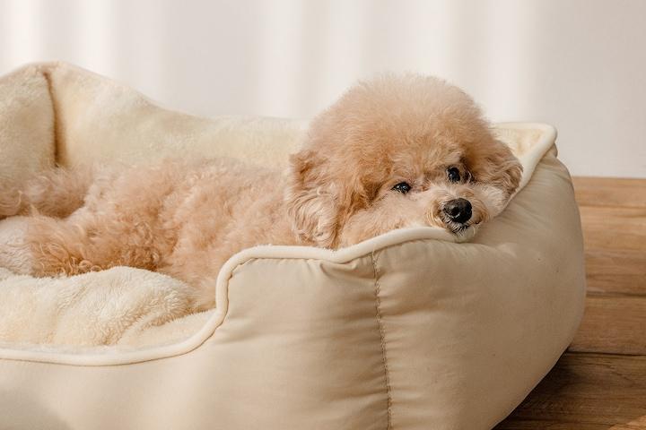 가성비갑! 허그미 애견방석 3size 3colors