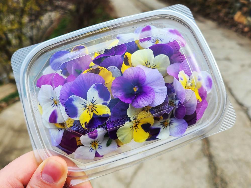 비올라 식용꽃 1팩