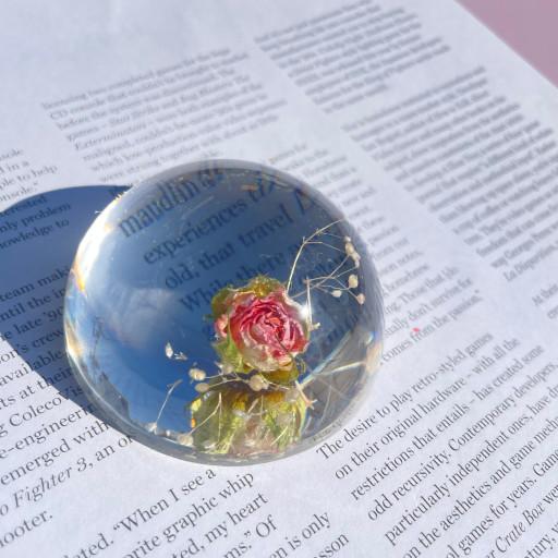 ♦️책덕후♦️일리우 플라워문진 A 크리스탈 문진 오브제