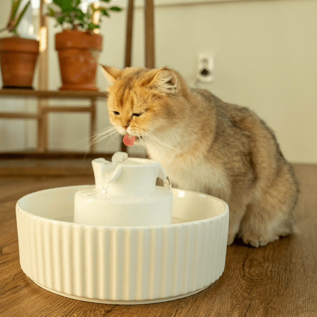 [웰컴딜] 이너프파이브 포세린 펫 정수기 화이트