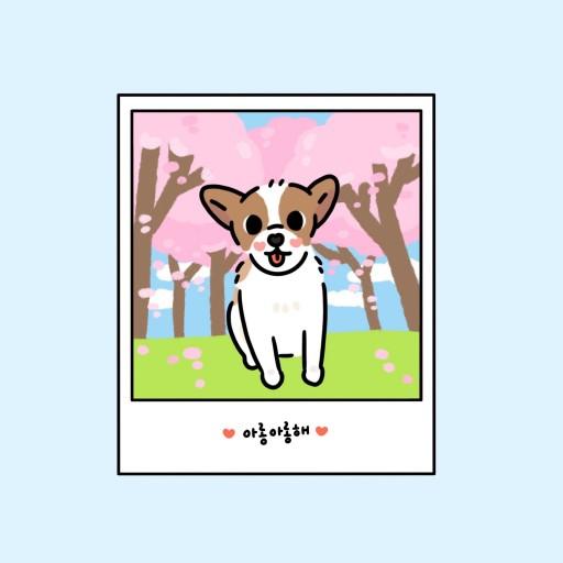 🧡폴라로이드 반려동물 일러스트 캐리커쳐🧡